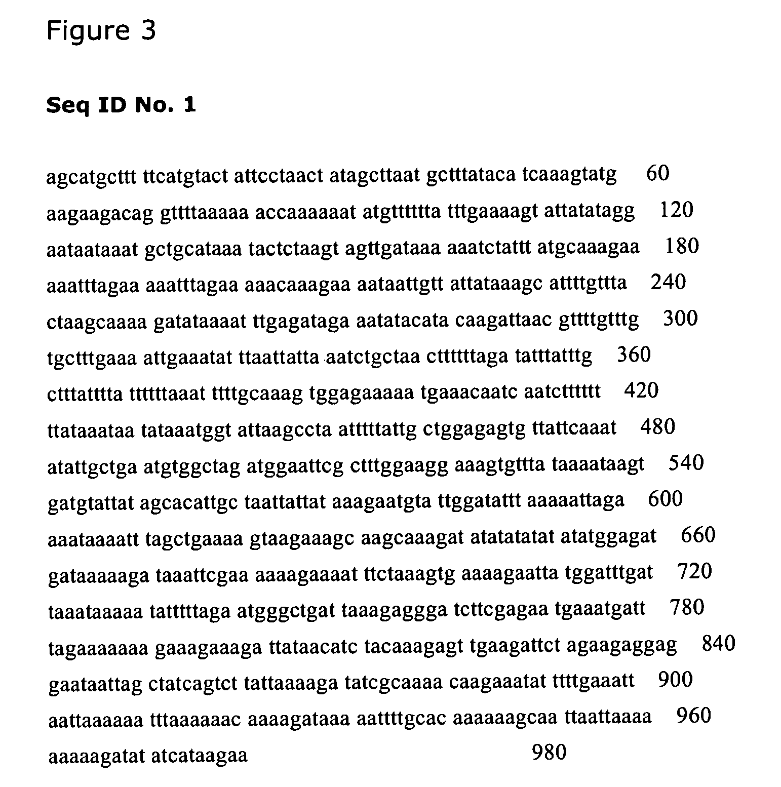 Tetrahymena heat inducible promoters and their use