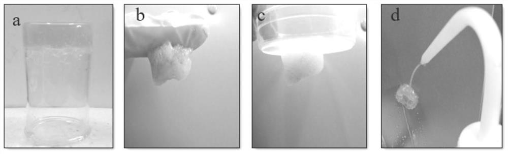 Adhesive hydrogel and preparation method thereof