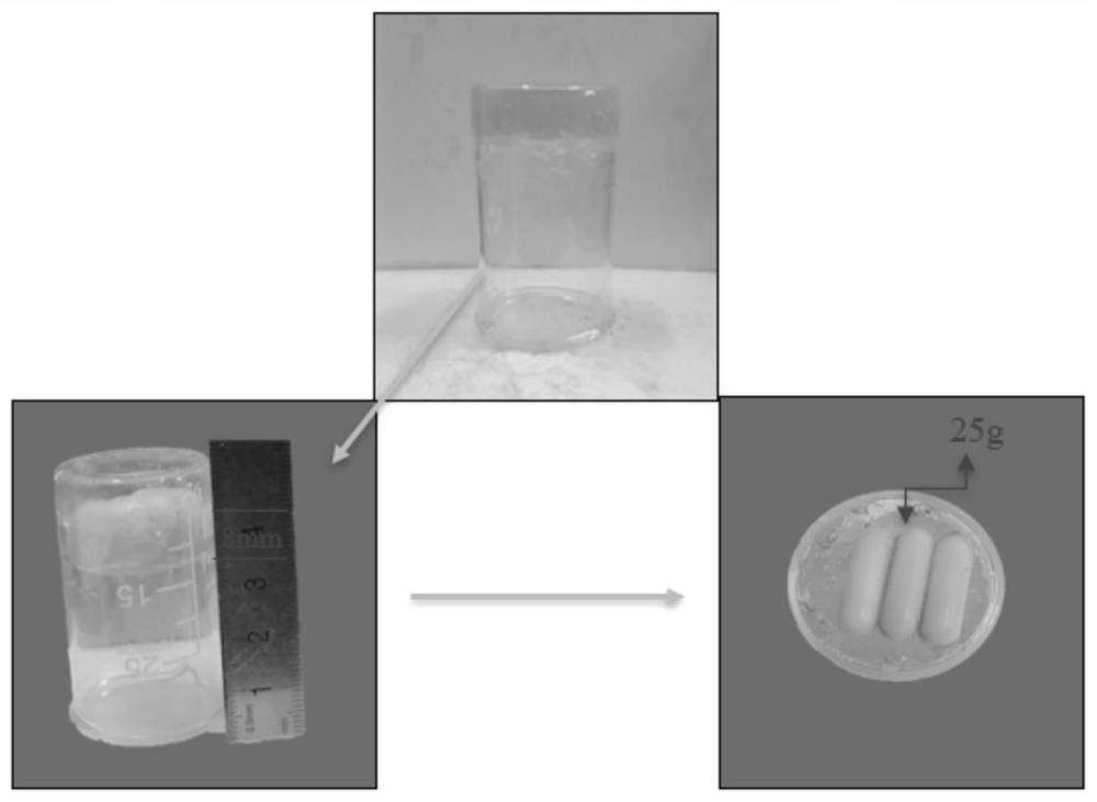 Adhesive hydrogel and preparation method thereof