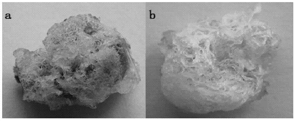 Colored cotton ovule in vitro culture method