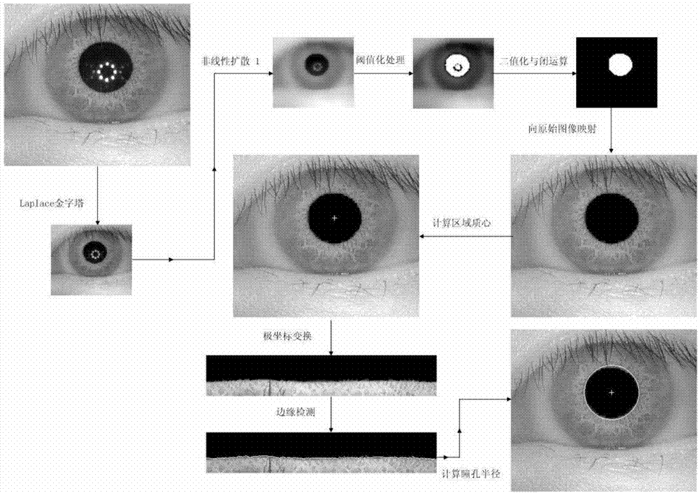 Iris image segmentation algorithm based on nonlinear dimension space