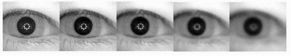 Iris image segmentation algorithm based on nonlinear dimension space