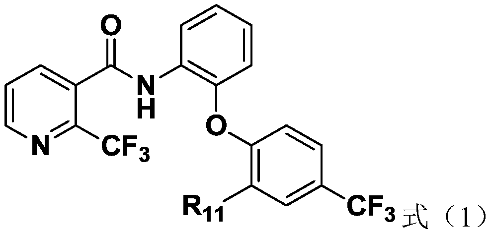 Amide compound containing 3-trifluoromethylpyridine, preparation method and applications thereof, and a bactericide