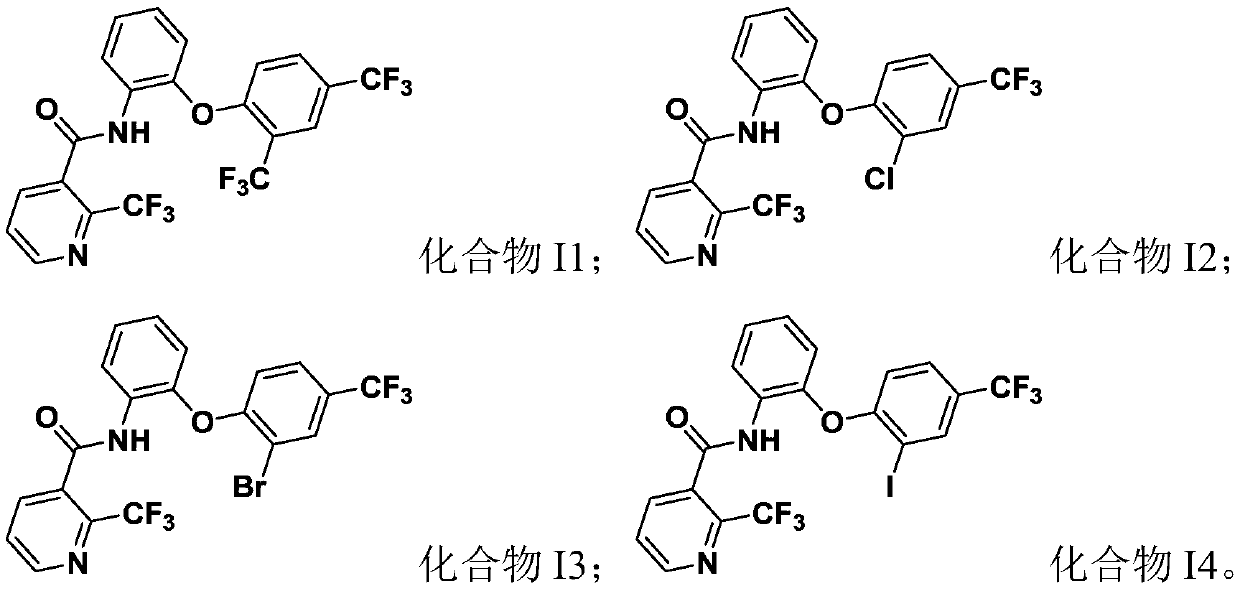 Amide compound containing 3-trifluoromethylpyridine, preparation method and applications thereof, and a bactericide