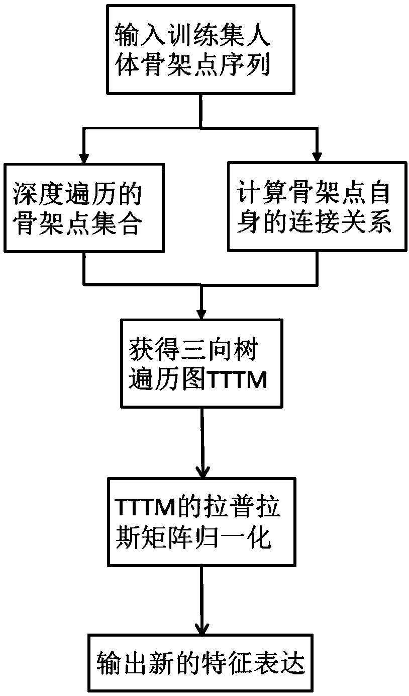 HThe invention discloses a human body behavior identification method and system based on attention perception and a tree skeleton point structure