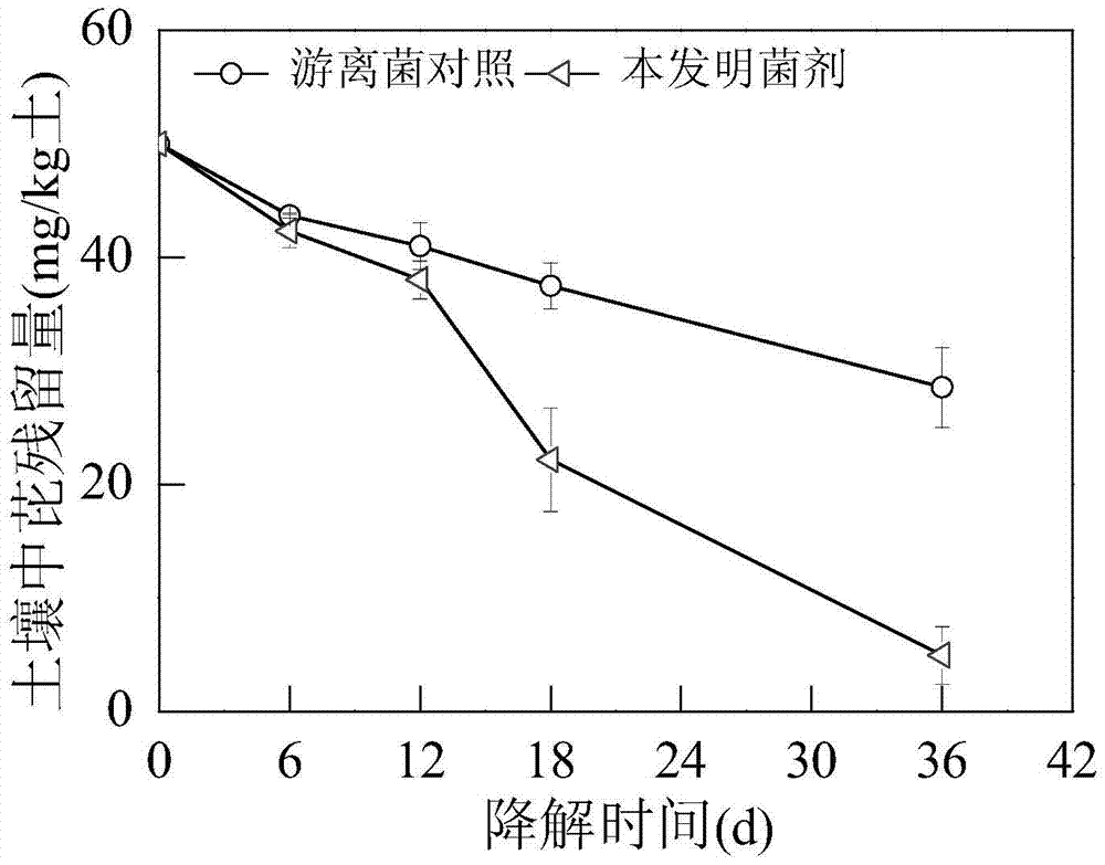 A polycyclic aromatic hydrocarbon degrading microbial agent and its preparation method and application