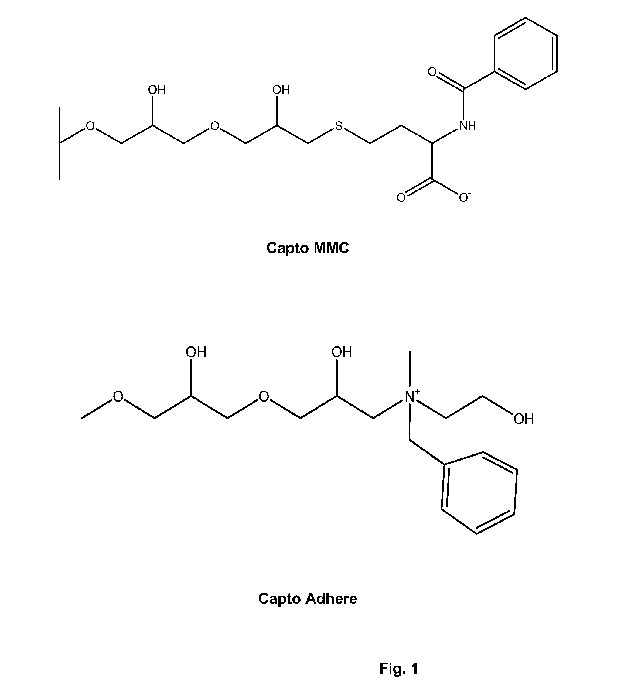 Correctly folded etanercept in high purity and excellent yield