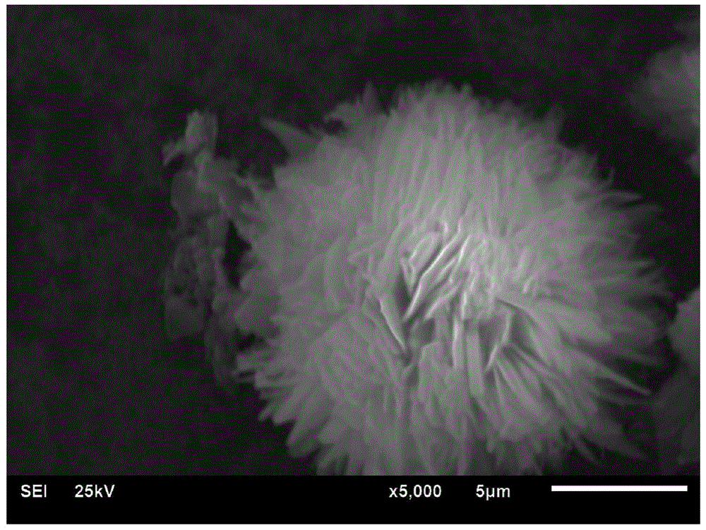 Spherical calcium citrate, and preparation method and application thereof