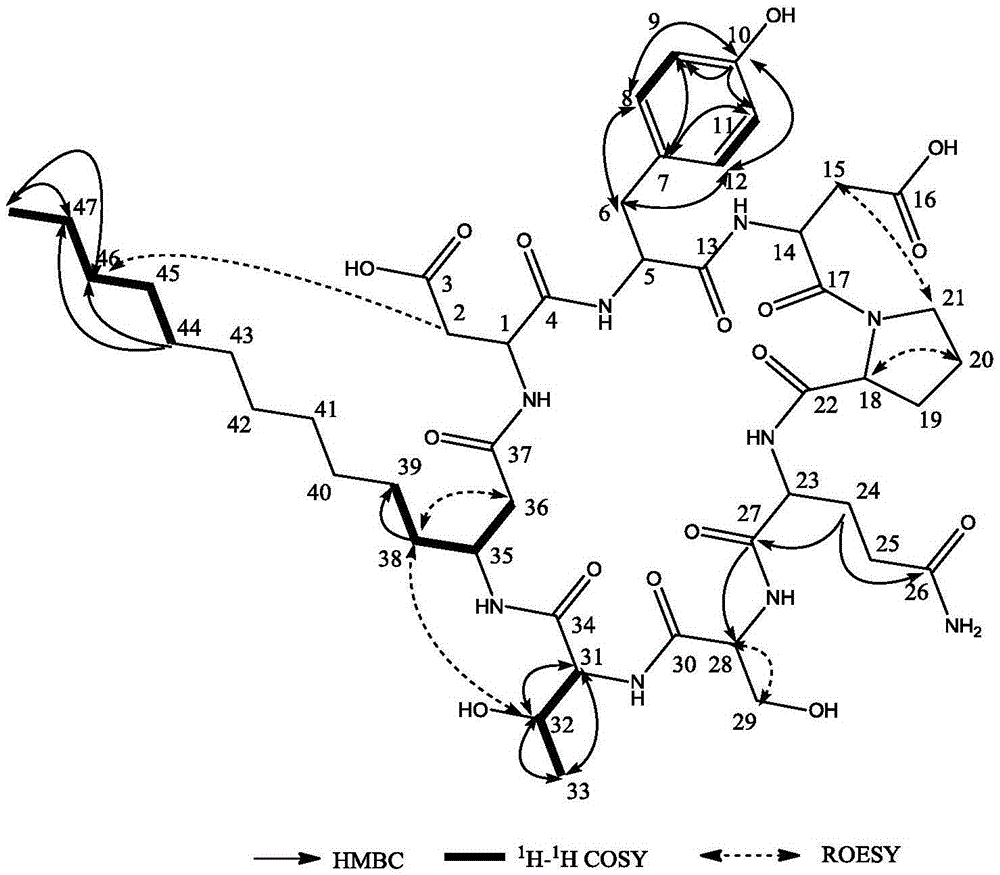 Application of compound H2 in preparation of lipopeptide bacteriostatic preparation