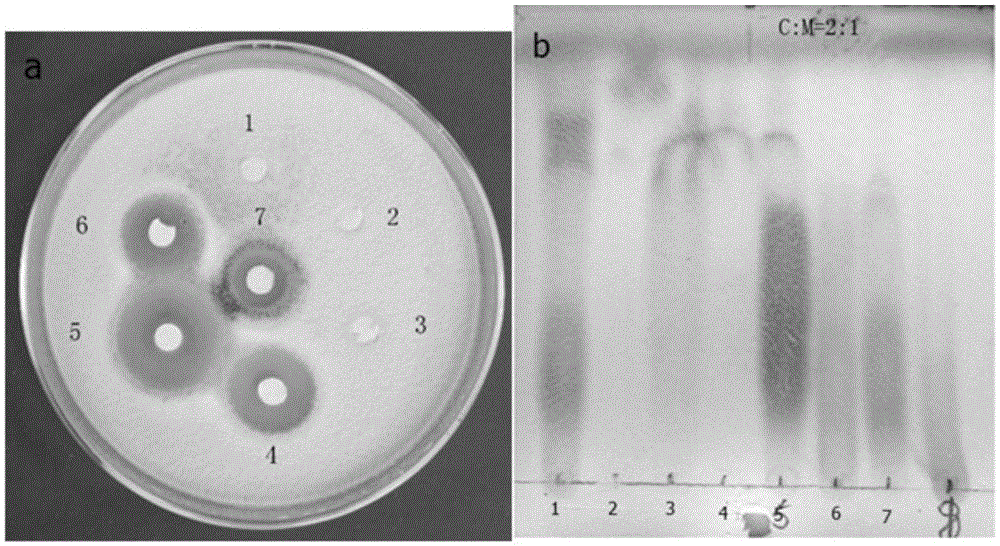 Application of compound H2 in preparation of lipopeptide bacteriostatic preparation