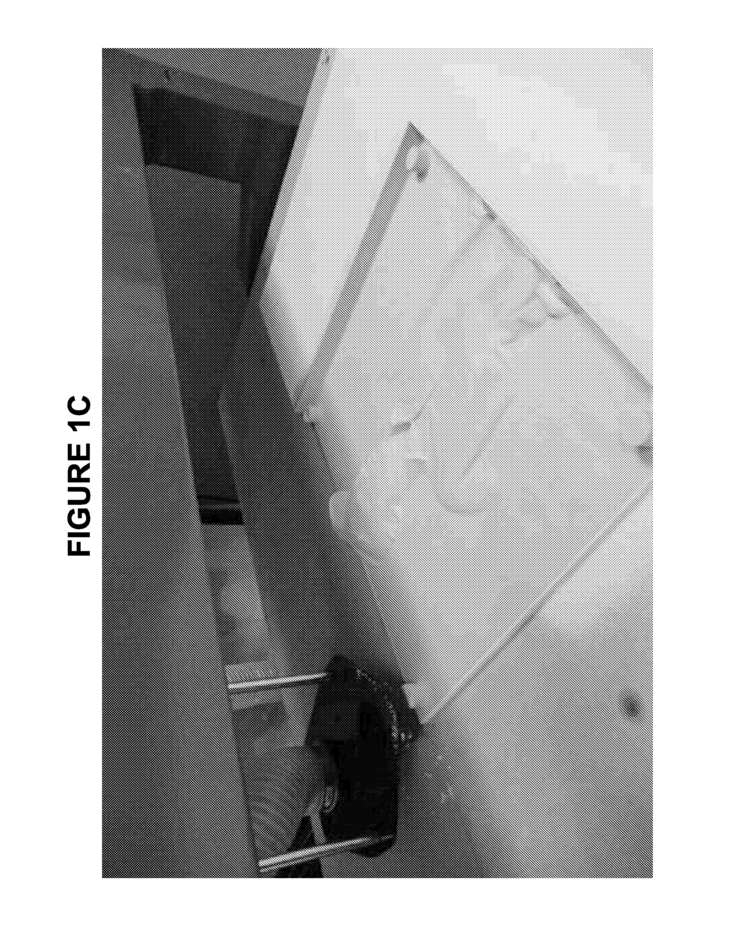 Method and Apparatus For Three-Dimensional Digital Printing