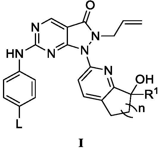 Pyrazolone-fused pyrimidine compound as well as preparation method and application thereof