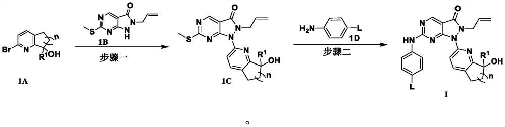 Pyrazolone-fused pyrimidine compound as well as preparation method and application thereof