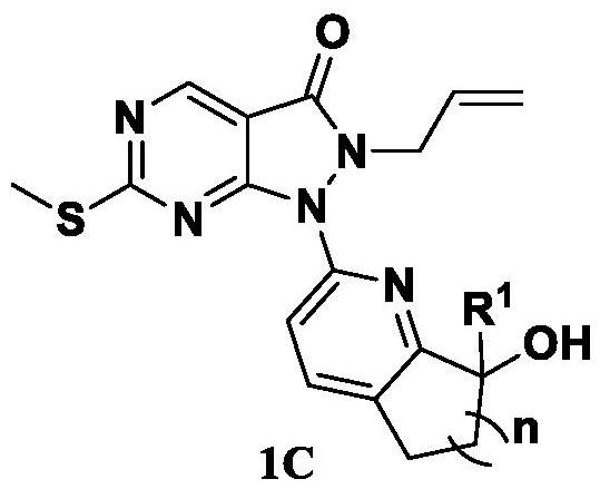 Pyrazolone-fused pyrimidine compound as well as preparation method and application thereof