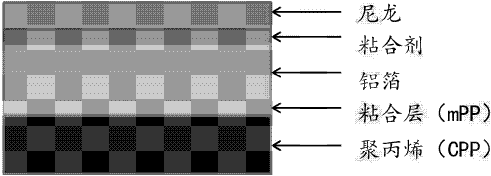 A detection method for corrosion of aluminum-plastic film of flexible packaging lithium-ion battery