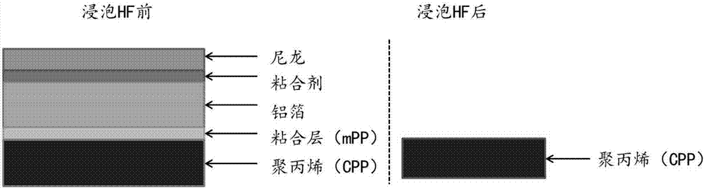 A detection method for corrosion of aluminum-plastic film of flexible packaging lithium-ion battery