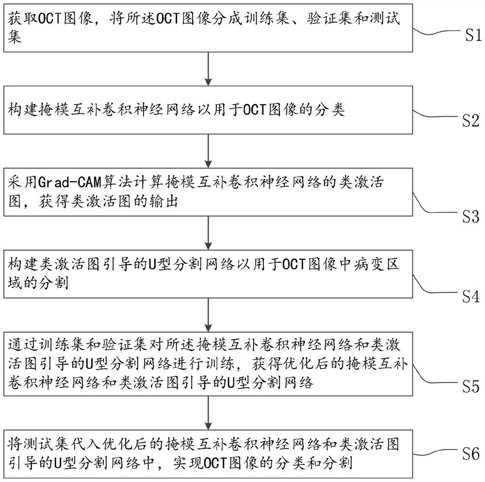 AMD lesion OCT image classification segmentation method and system based on bidirectional guide network