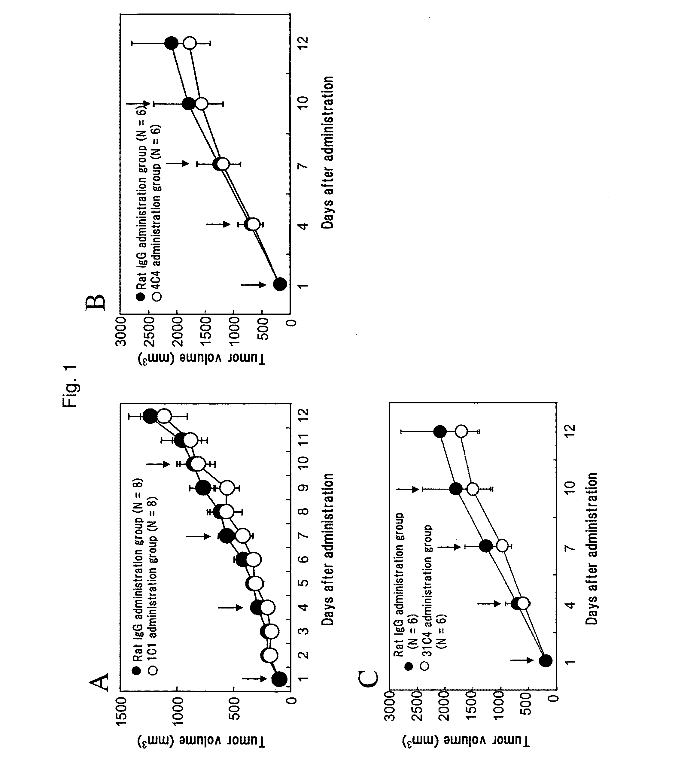 Anti-hdlk-1 antibody having an antitumor activity in vivo