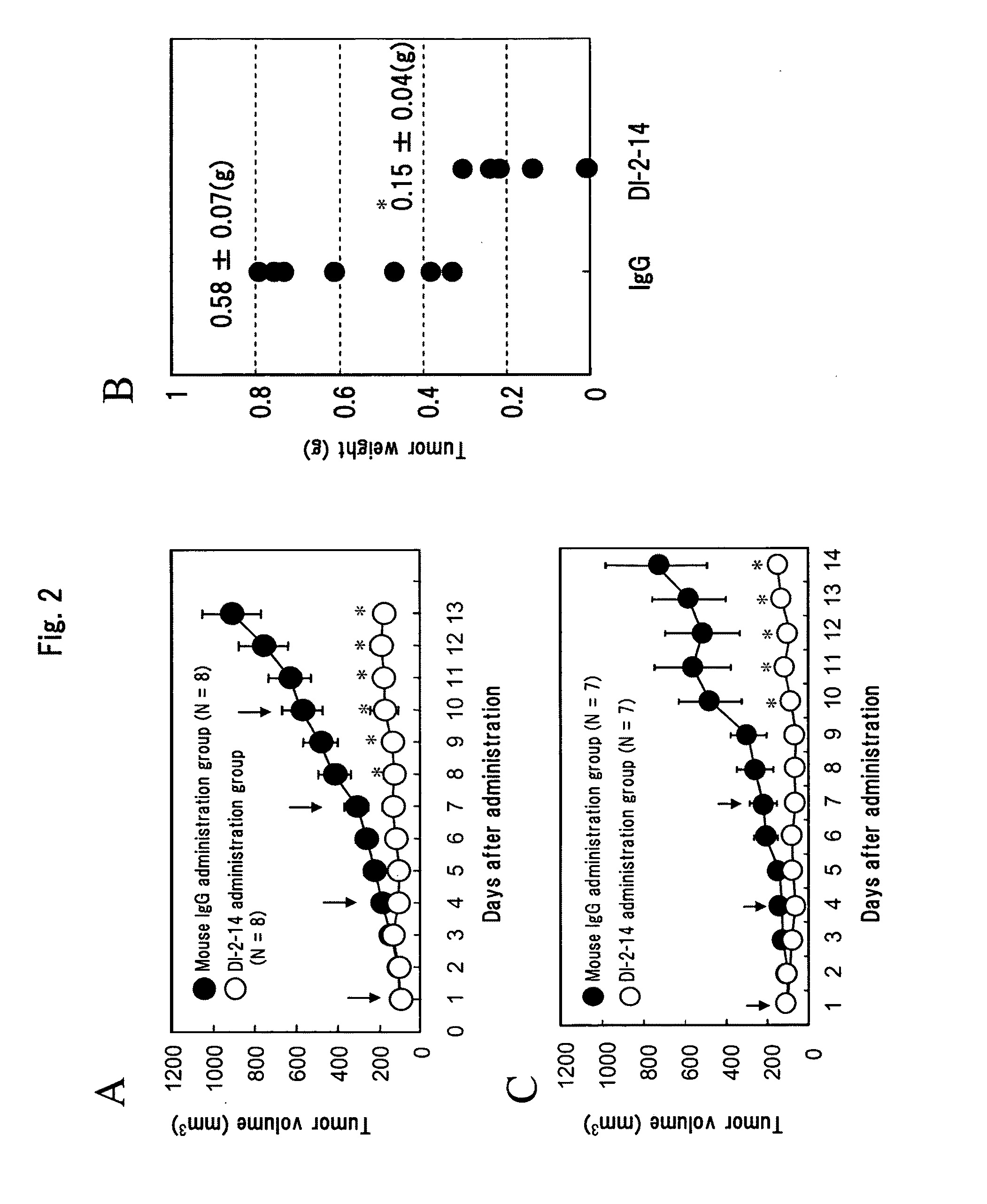 Anti-hdlk-1 antibody having an antitumor activity in vivo