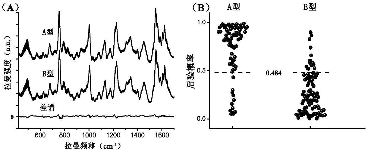 A human blood type identification method based on red blood cell optical tweezers Raman spectroscopy