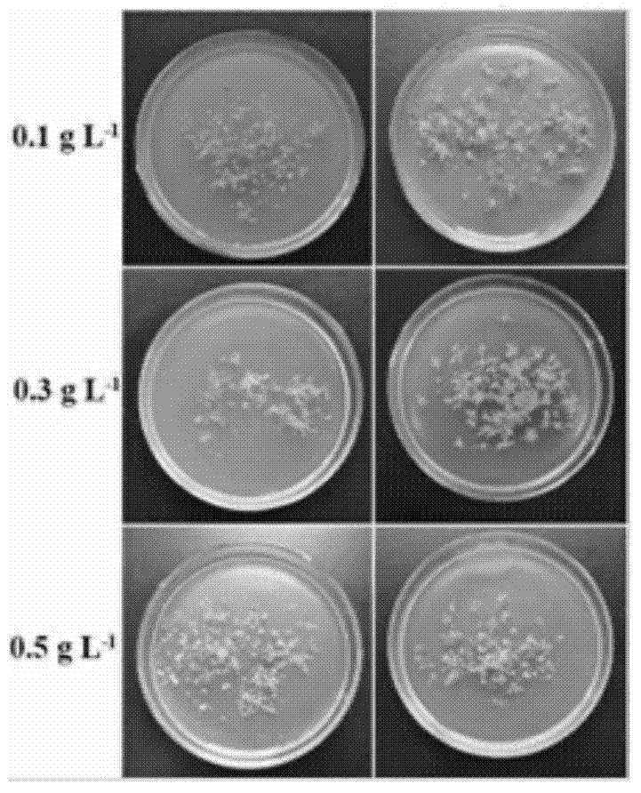 Method for optimizing vitrification ultra-low temperature preservation effect of arabidopsis seedlings