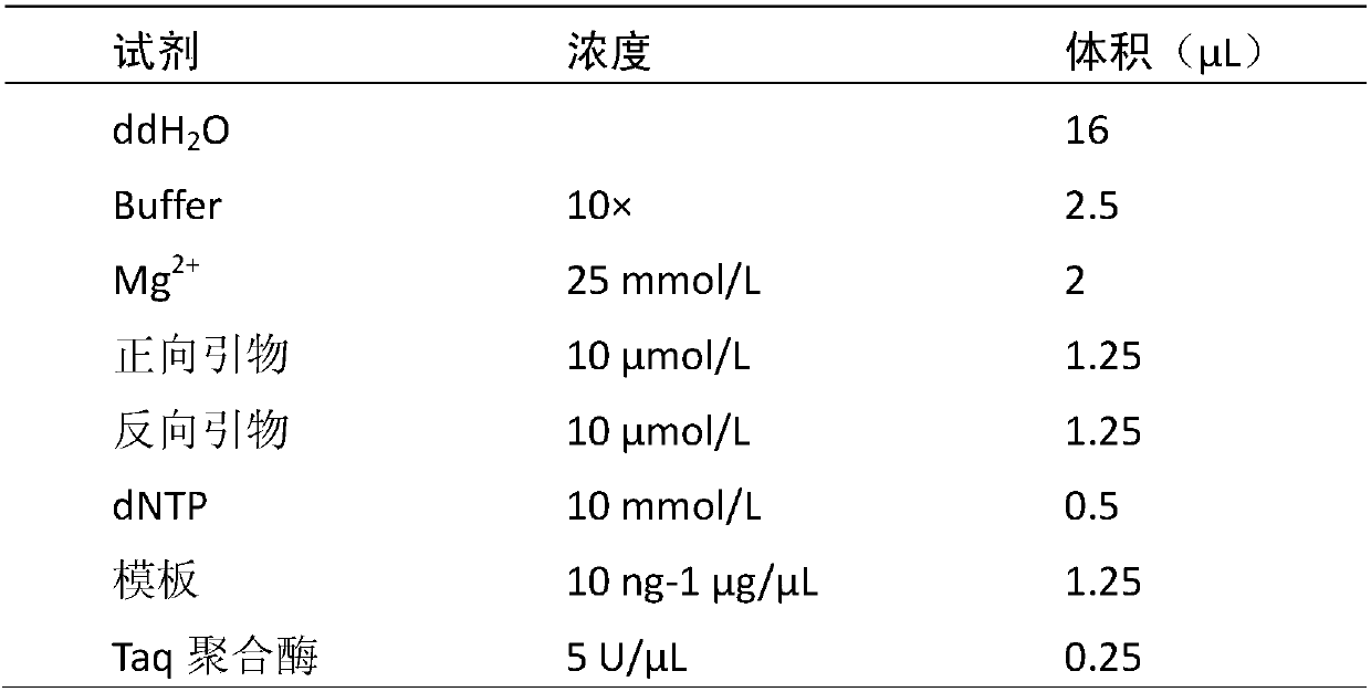 A kind of method for identification of oyster mushroom strain and special dna barcode fragment