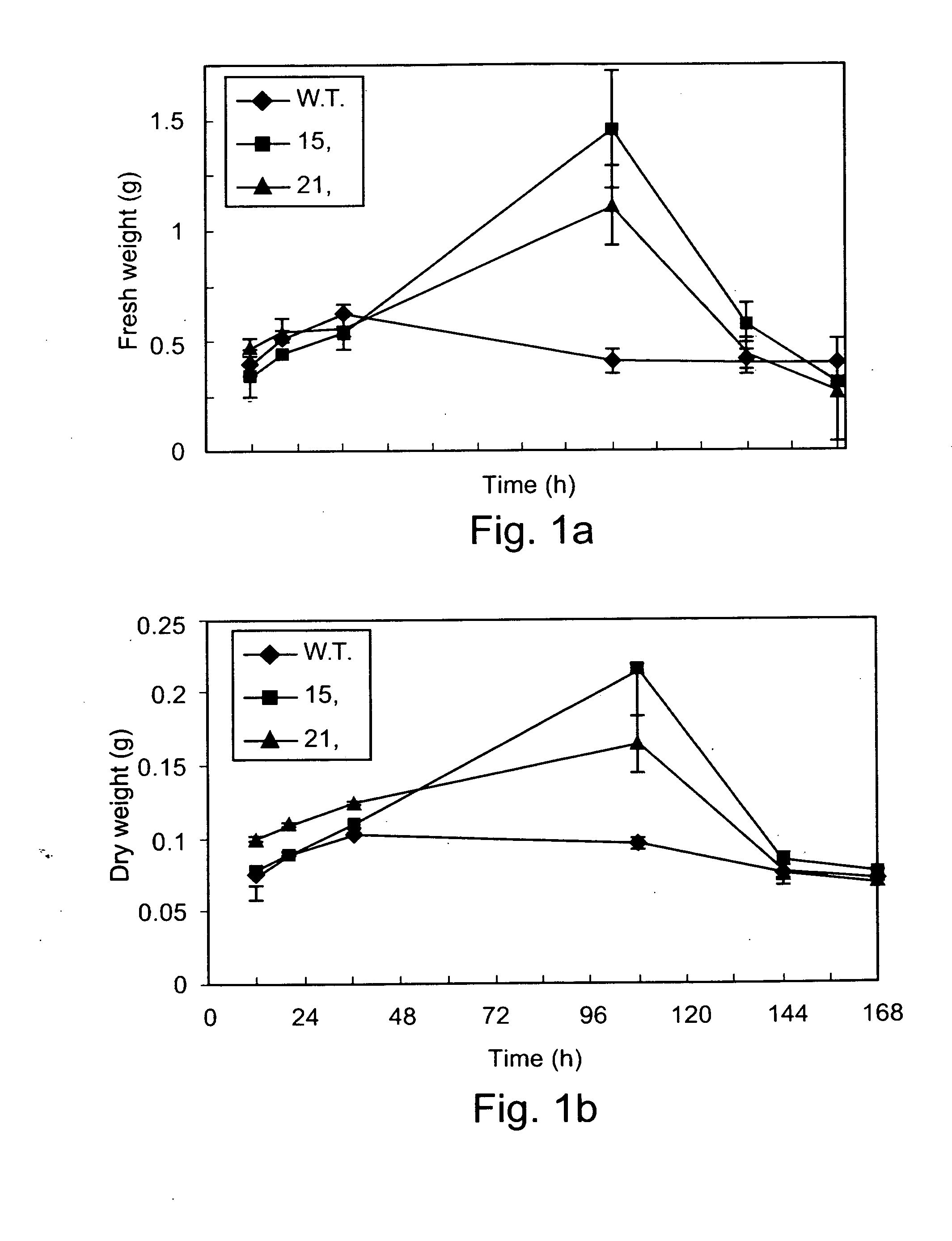 Transgenic fungi expressing Bcl-2 and methods of using Bcl-2 or portions thereof for improving biomass production, survival, longevity and stress resistance of fungi