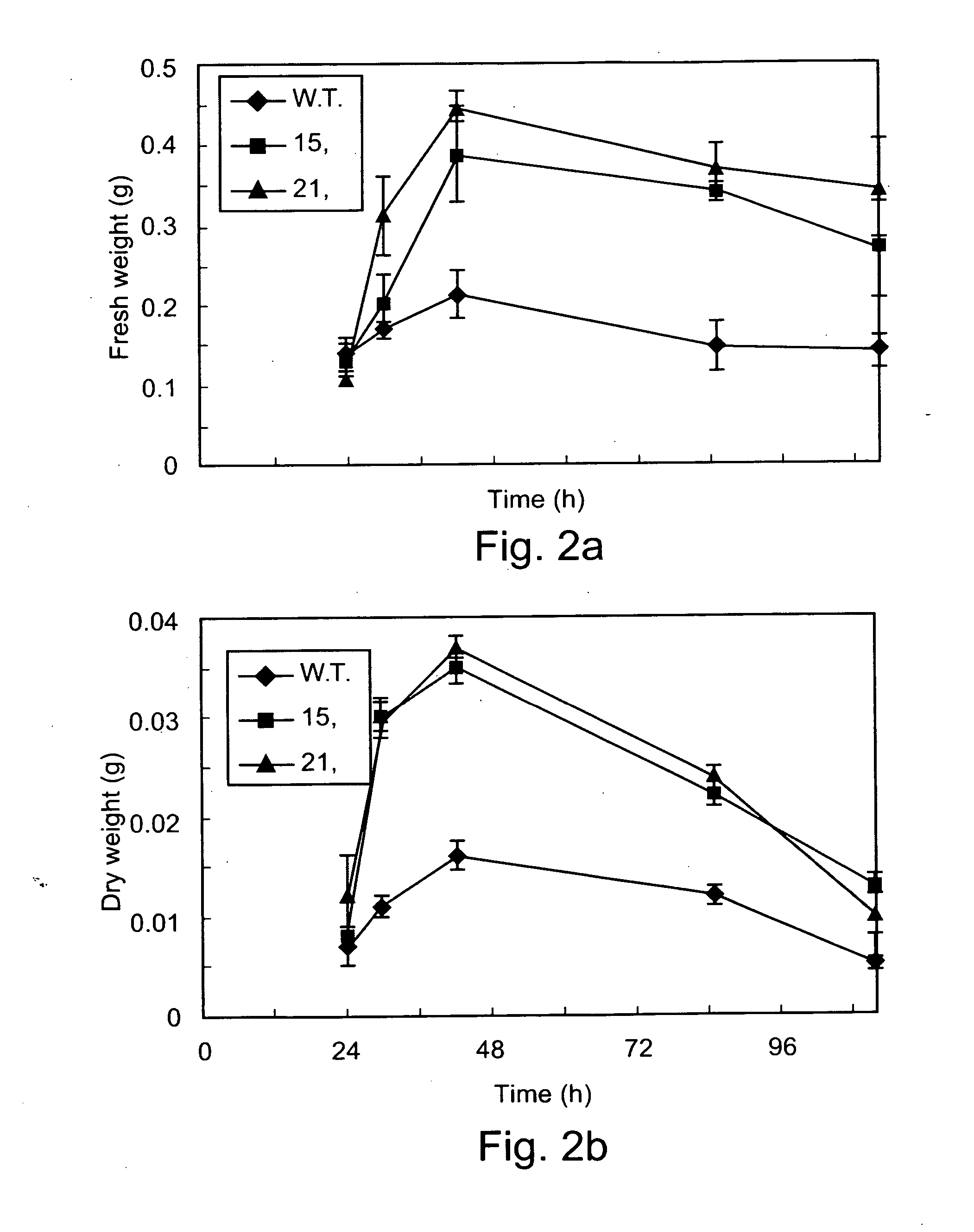 Transgenic fungi expressing Bcl-2 and methods of using Bcl-2 or portions thereof for improving biomass production, survival, longevity and stress resistance of fungi