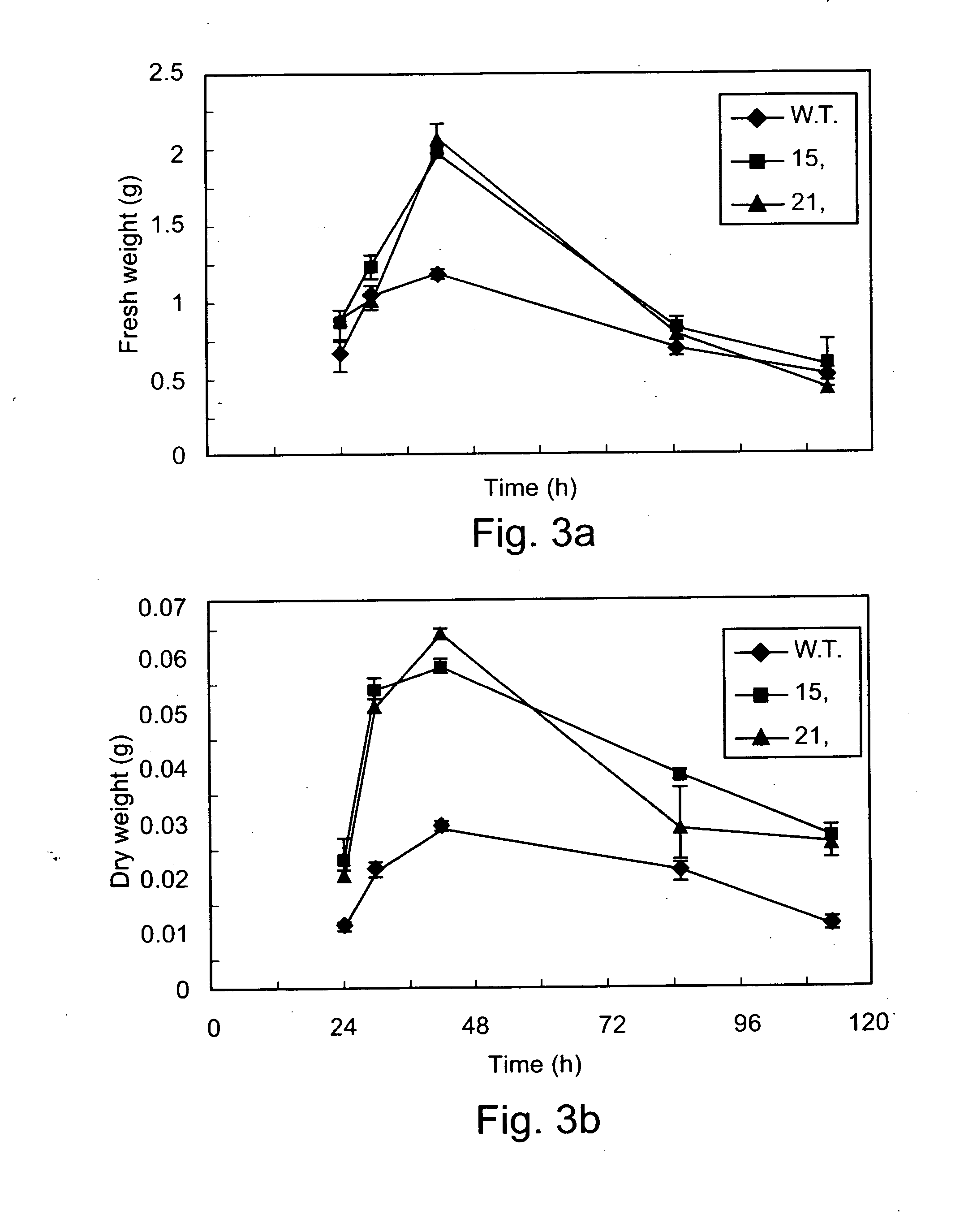 Transgenic fungi expressing Bcl-2 and methods of using Bcl-2 or portions thereof for improving biomass production, survival, longevity and stress resistance of fungi