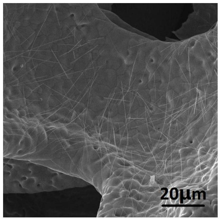 Electrolyte for Stable Lithium Metal Deposition and Its Application in Lithium Metal Batteries