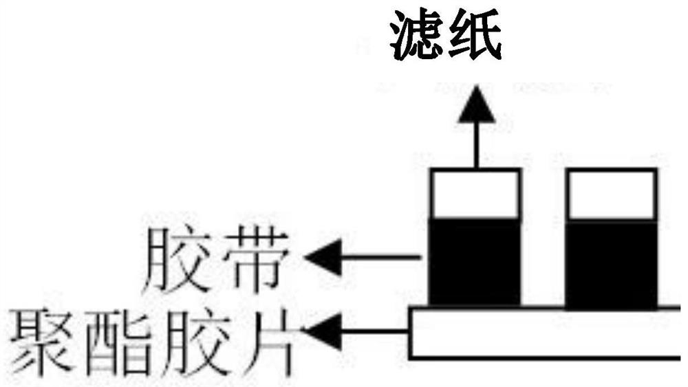 A stool lactose detection kit and its application and detection method