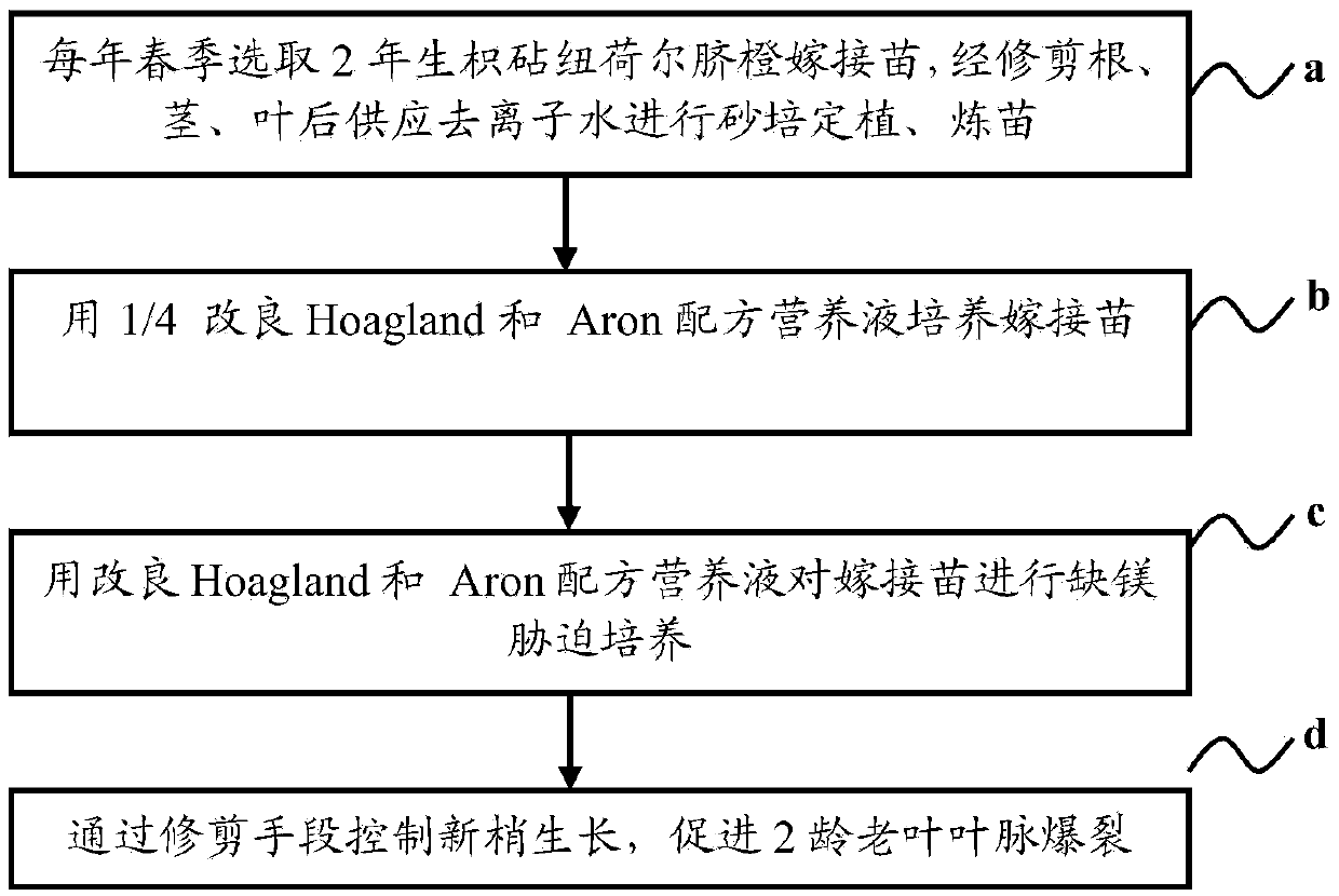 Method for inducing vein burst of Newhall navel orange in magnesium deficiency condition