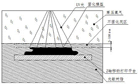 Large-format rapid 3D printing method and device based on DLP photo-curing