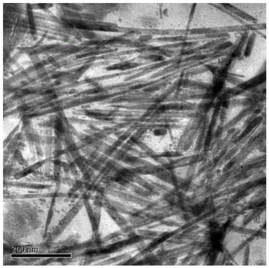 A kind of preparation method of copper sulfide nanowire