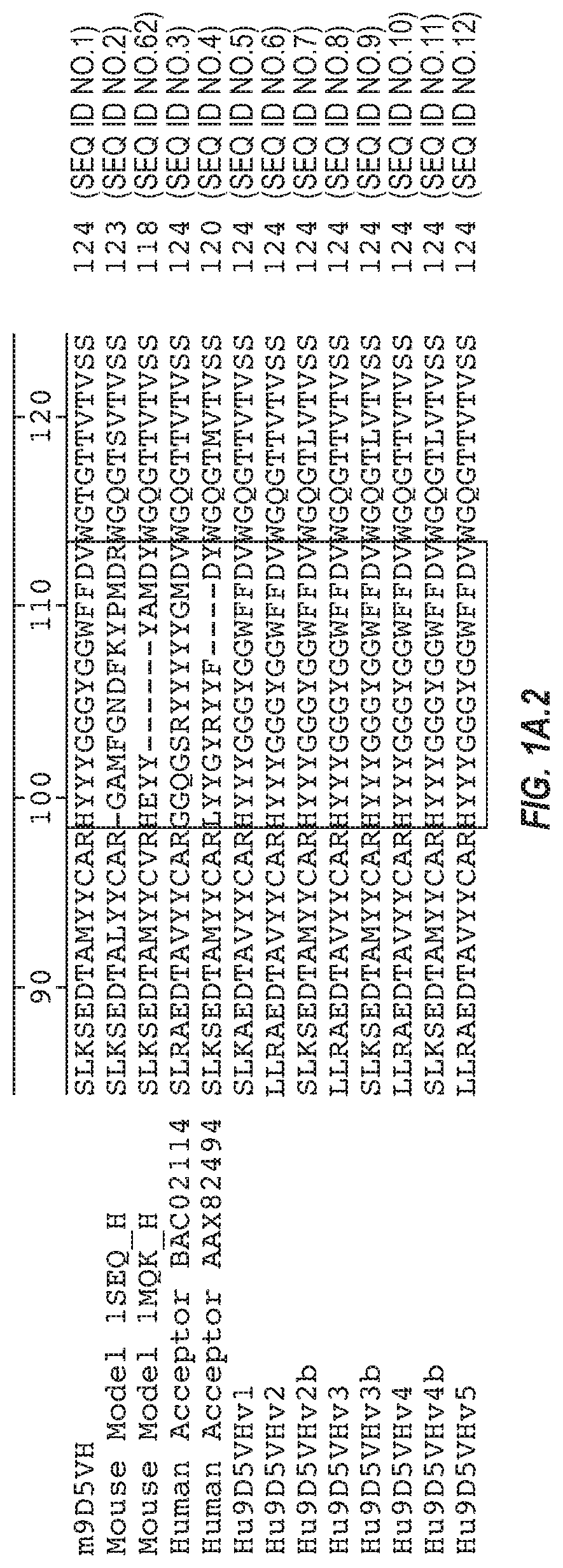 Anti-transthyretin antibodies