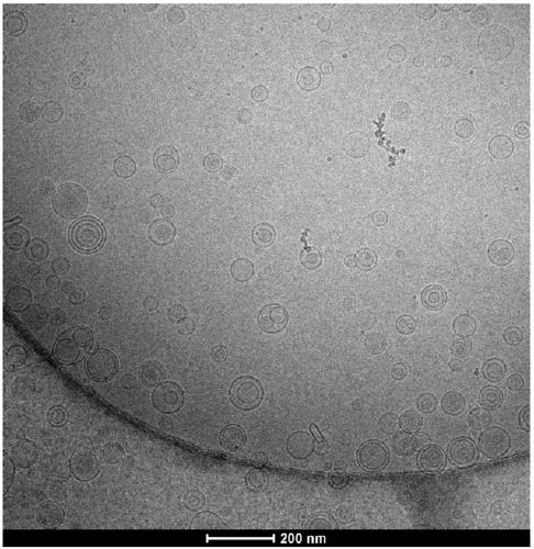 Alprostadil liposome and preparation method thereof