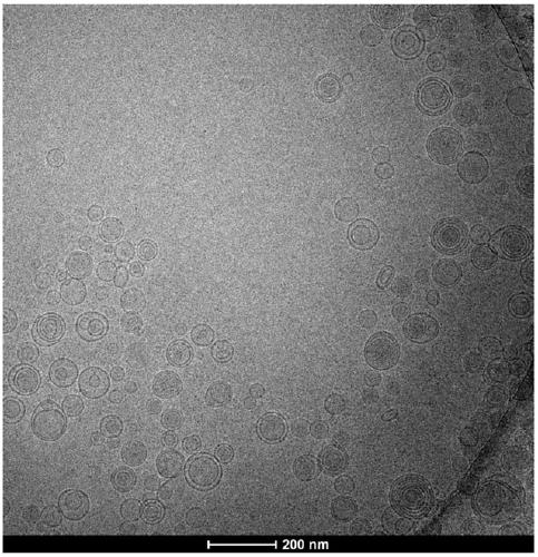 Alprostadil liposome and preparation method thereof