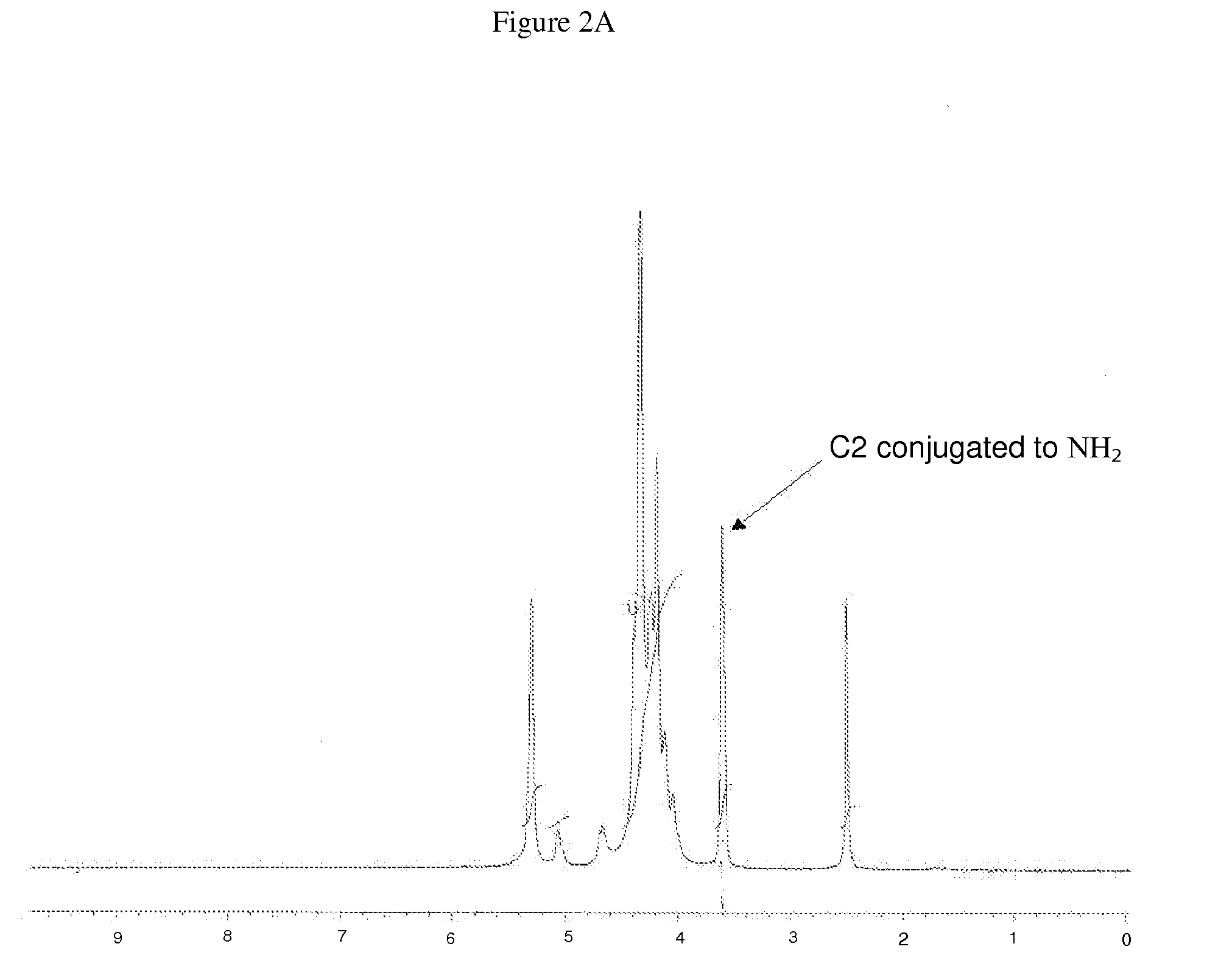 Modified Polysaccharide-Based Delivery of Nucleic Acids