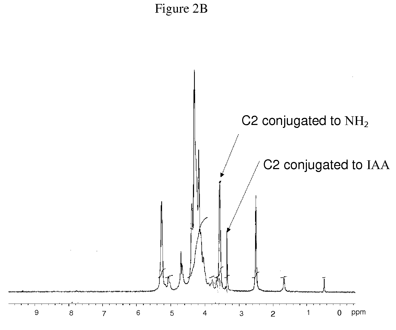 Modified Polysaccharide-Based Delivery of Nucleic Acids