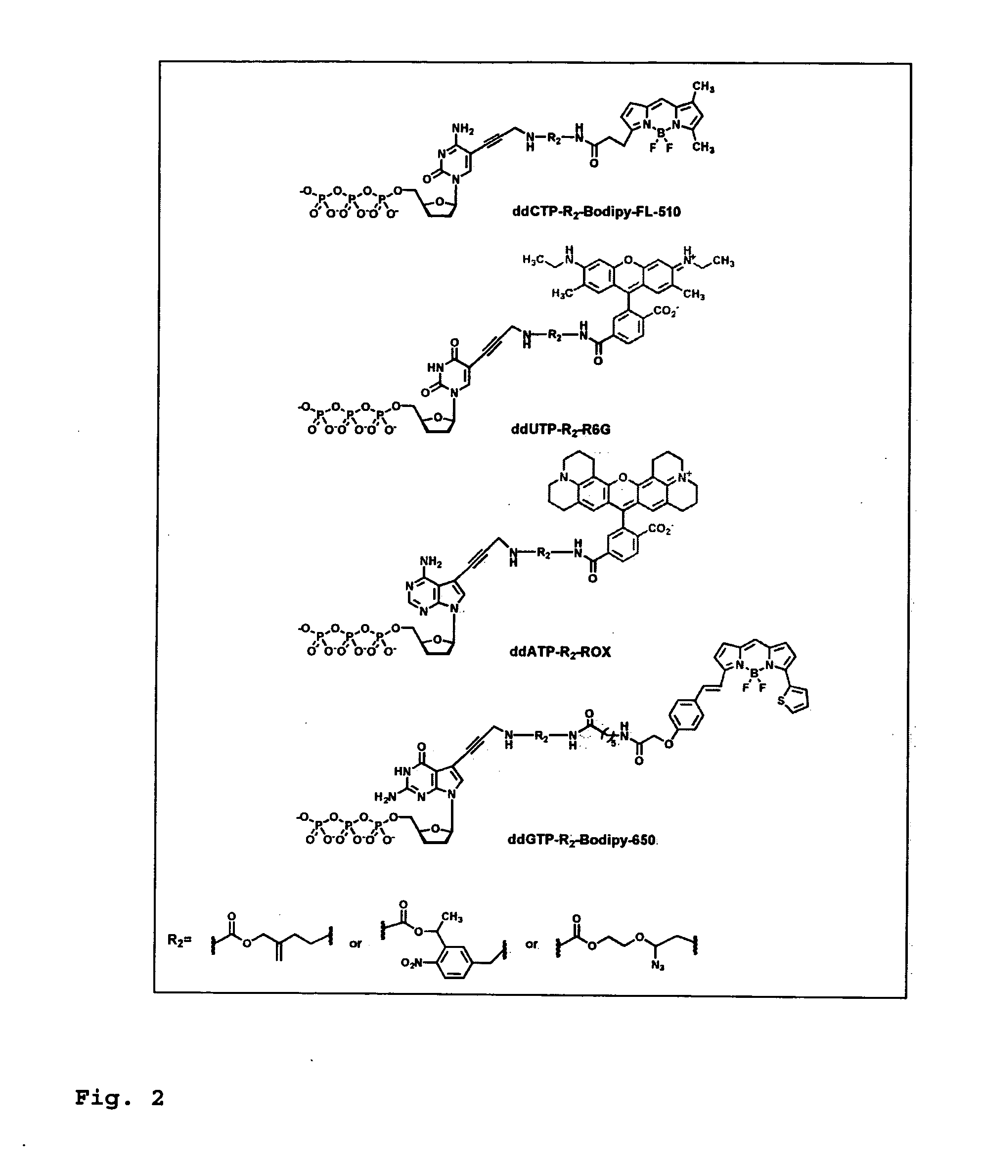 DNA sequence with non-fluorescent nucleotide reversible terminators and cleavable label modified nucleotide terminators