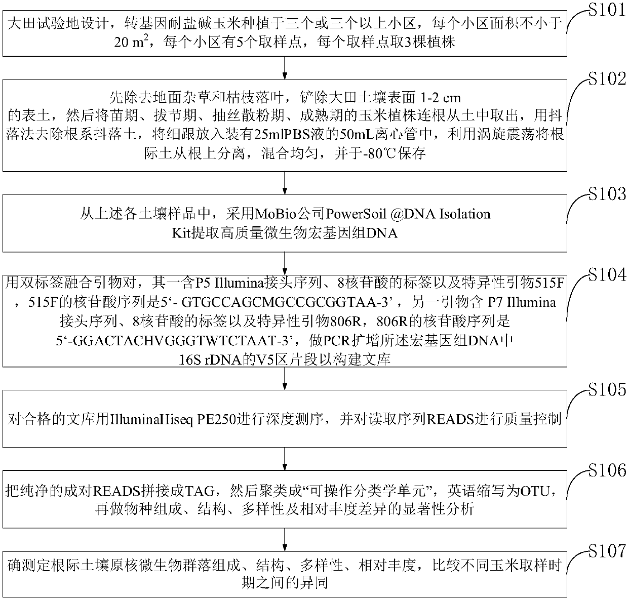 Method and system for detecting maize rhizosphere soil microorganisms based on deep sequencing