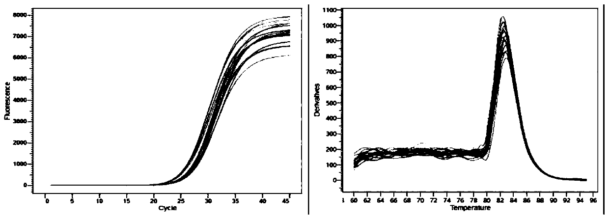 Application of Pulsatilla chinensis decoction in preparation of drugs for reducing TLR-4 gene expression in intestinal microvascular endothelial cells