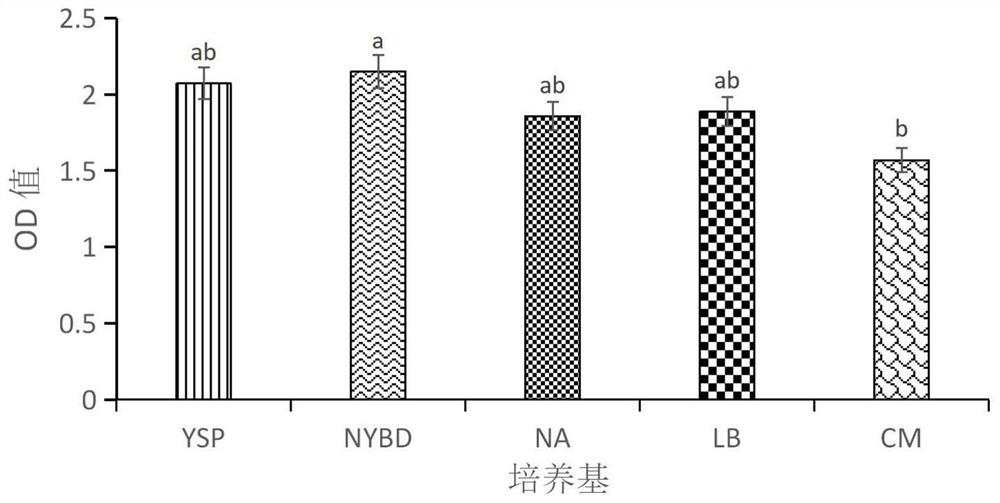 Bacillus tequilensis D5-8 and application thereof