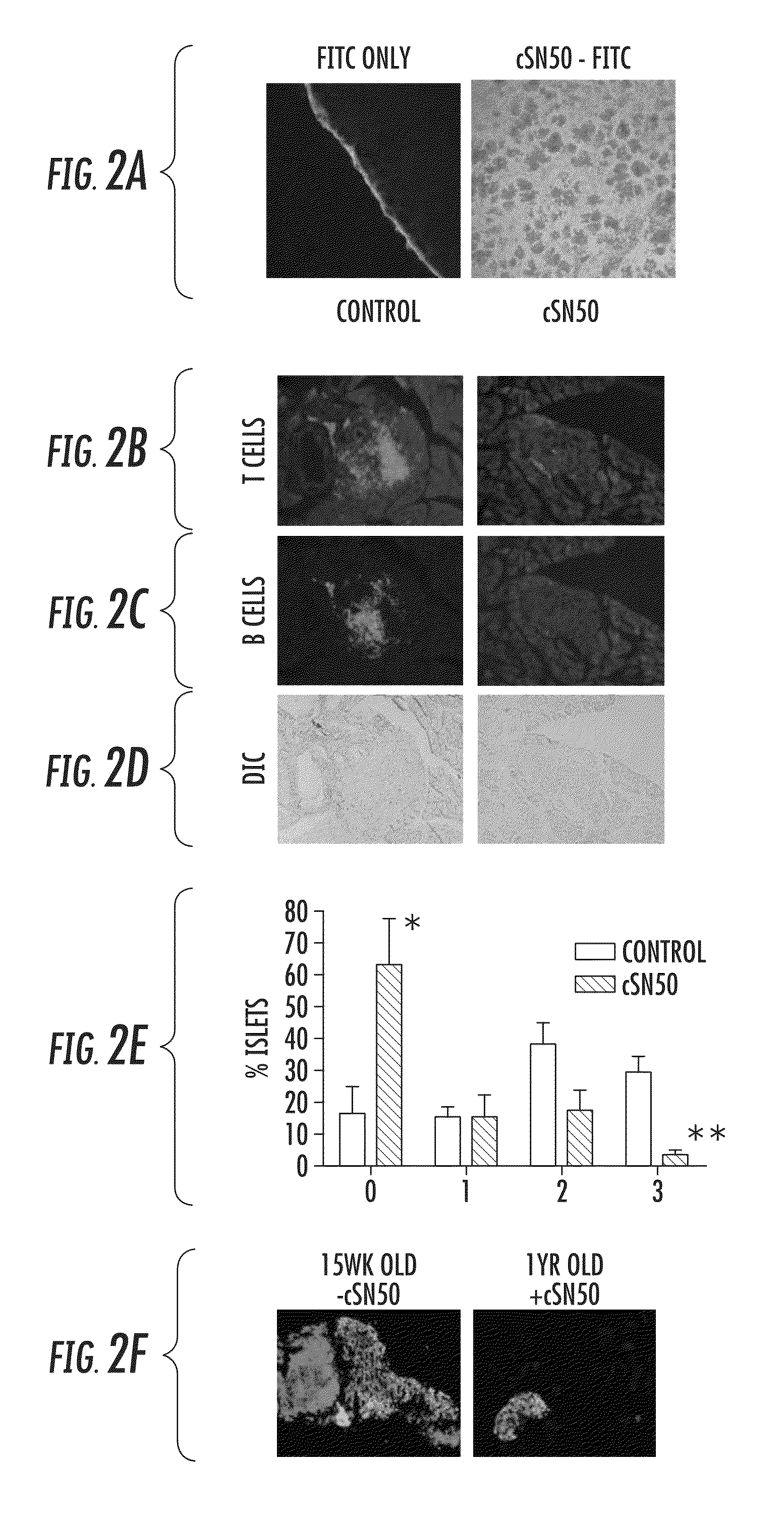 Compositions for preserving insulin-producing cells and insulin production and treating diabetes