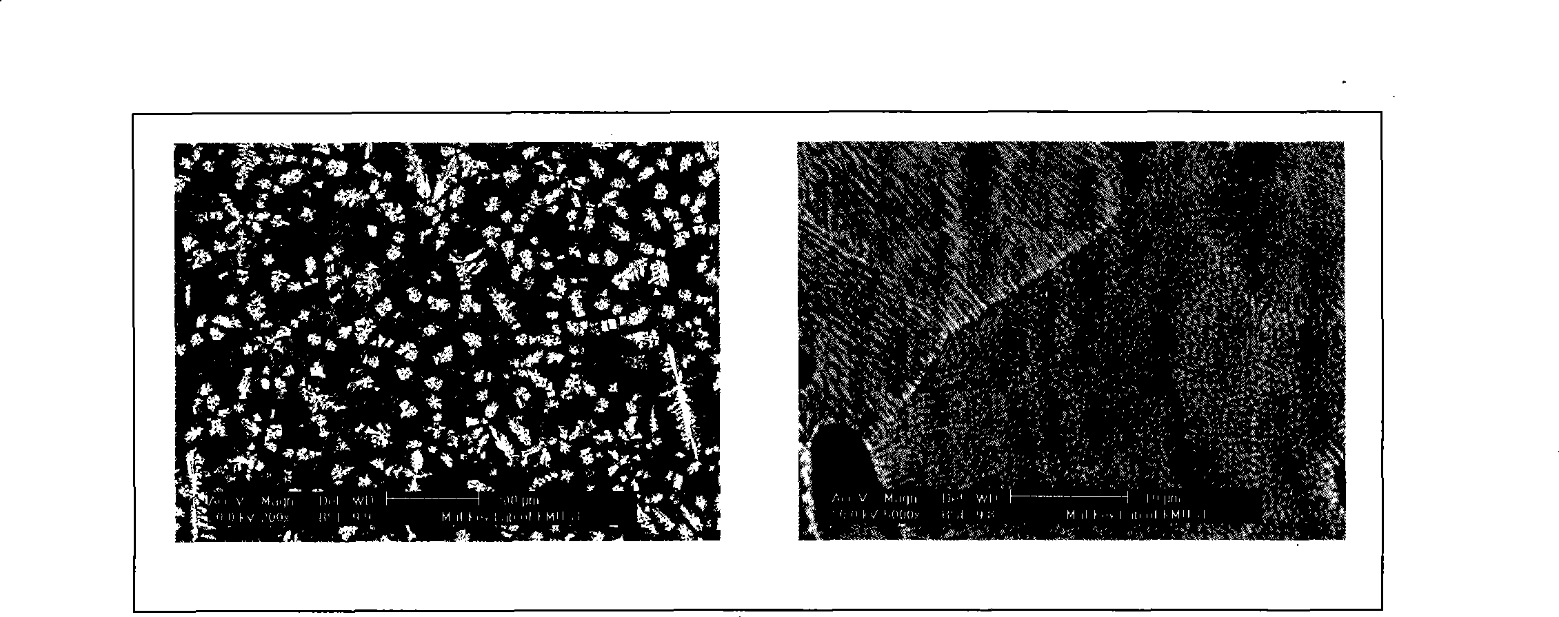 High strength lead alloy and manufacturing method thereof