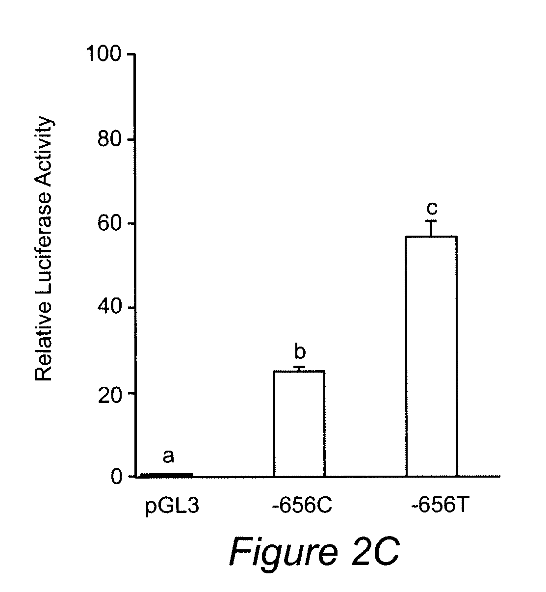 Genetic markers for assessing risk of premature birth resulting from preterm premature rupture of membranes