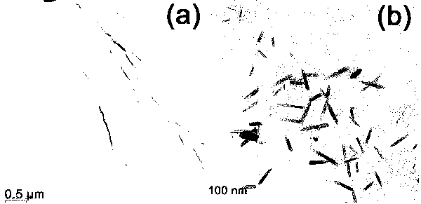 Fabrication method of graphene nanobelt with visible-light response