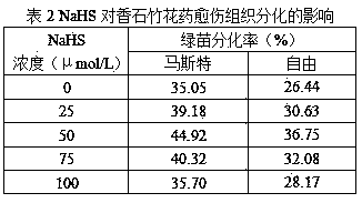 Differential culture medium applied to carnation anther culture