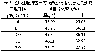 Differential culture medium applied to carnation anther culture