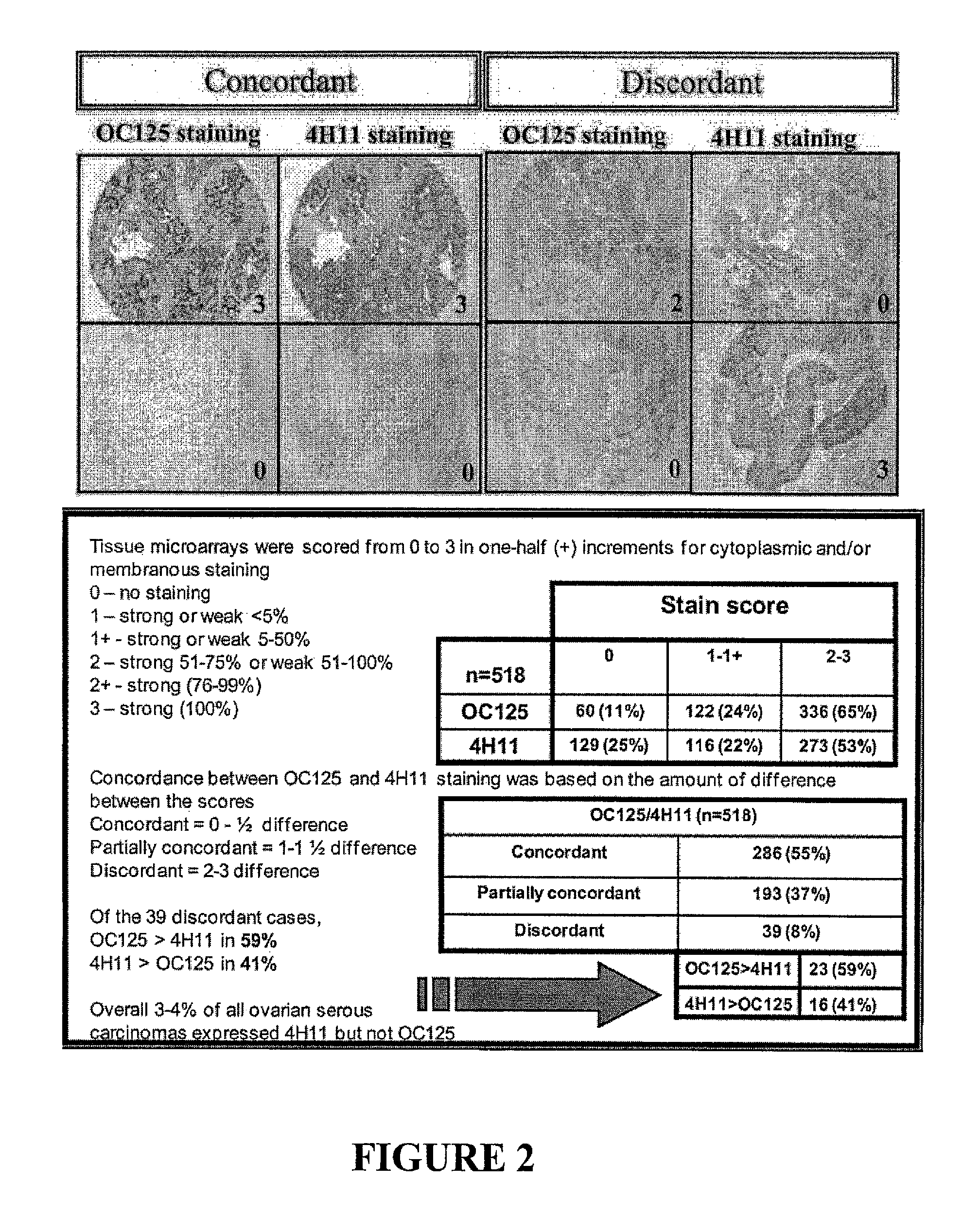 Antibodies to MUC16 and methods of use thereof